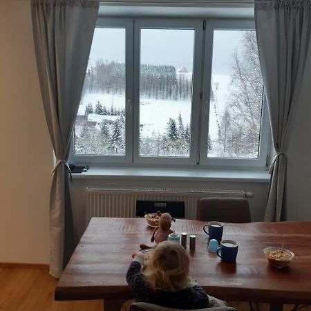 Apartman U Kunstatskeho Mlyna Orlicke Zahori 外观 照片