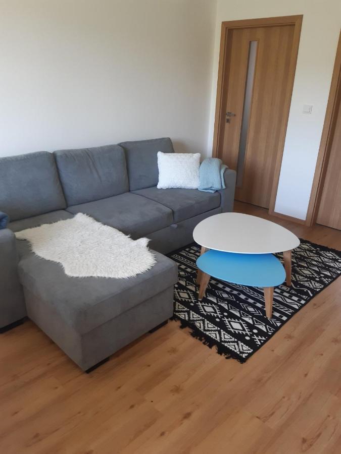 Apartman U Kunstatskeho Mlyna Orlicke Zahori 外观 照片