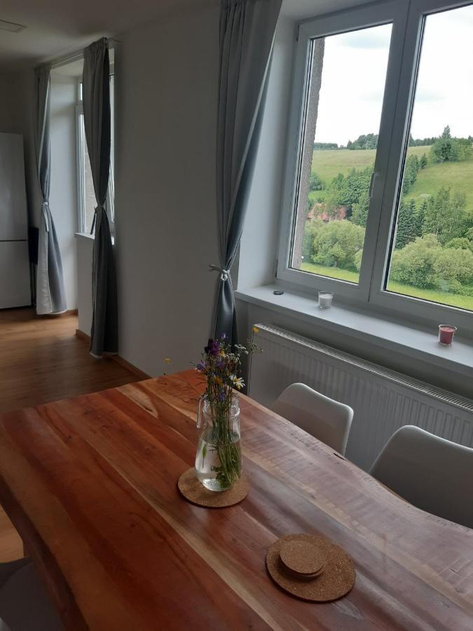 Apartman U Kunstatskeho Mlyna Orlicke Zahori 外观 照片